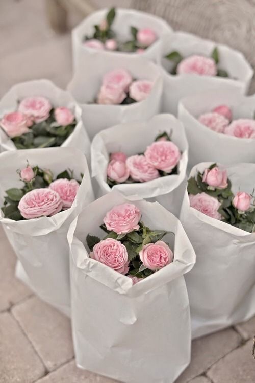 " bntpal_1438332710_21