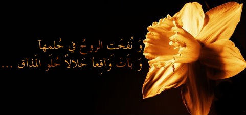 قآرُورَةٌ شُجَّتْ...!! bntpal_1438407355_51