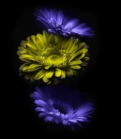  ...!! bntpal_1438407357_10