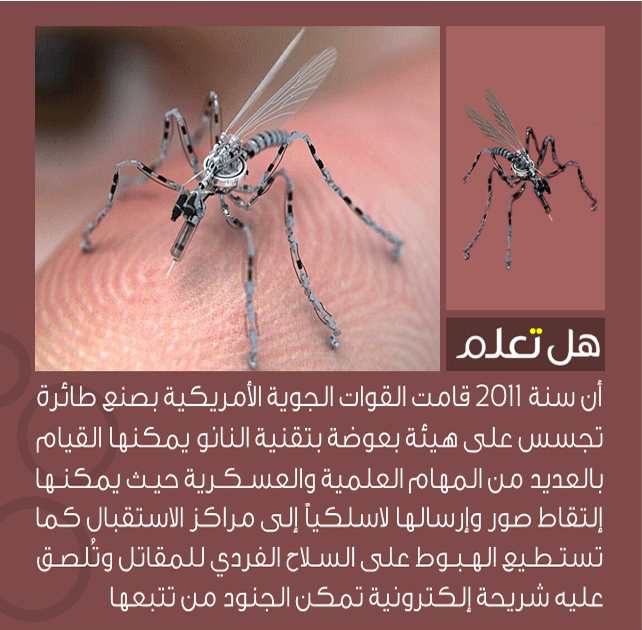 bntpal_1438500340_24