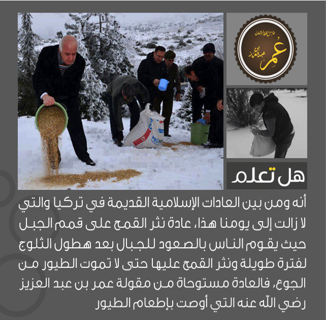 bntpal_1438500342_52
