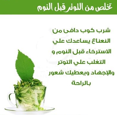 bntpal_1438500343_39