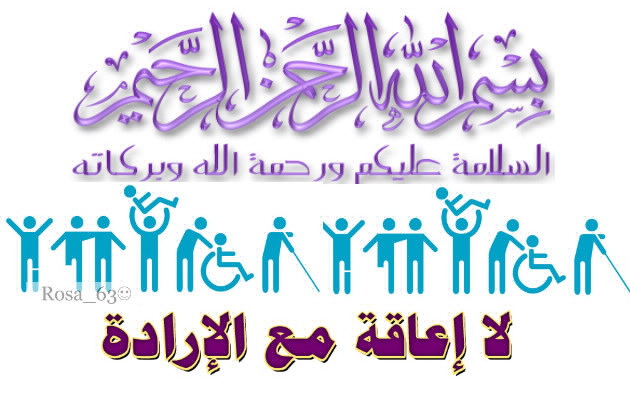  bntpal_1438524673_28