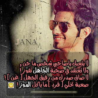    bntpal_1438607757_66