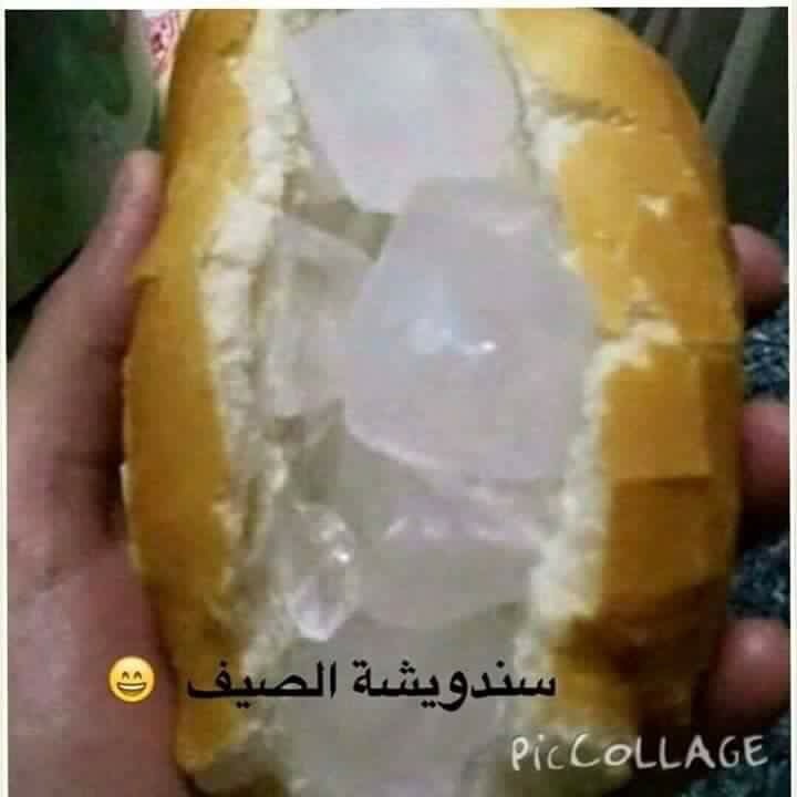   bntpal_1438674471_73