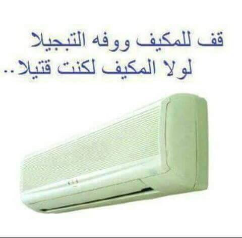   bntpal_1438674471_76