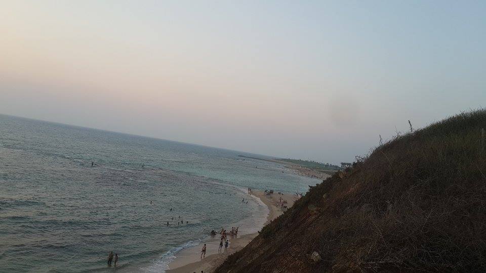 bntpal_1438686117_10