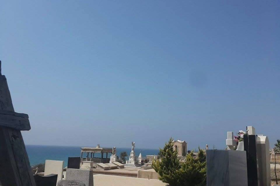 bntpal_1438686119_46