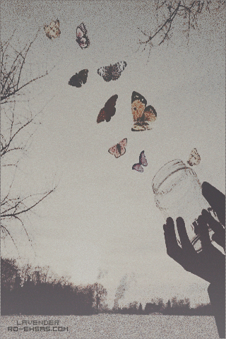  " bntpal_1438697202_81