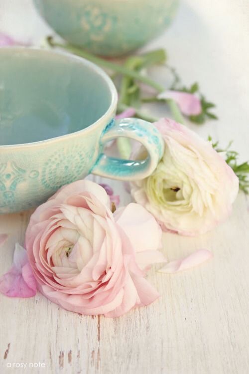 " bntpal_1438703327_14