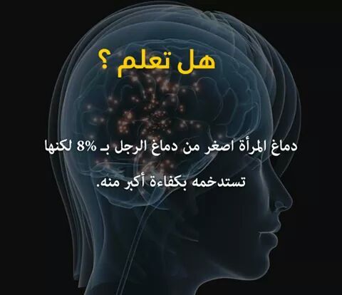 .... bntpal_1438775808_89