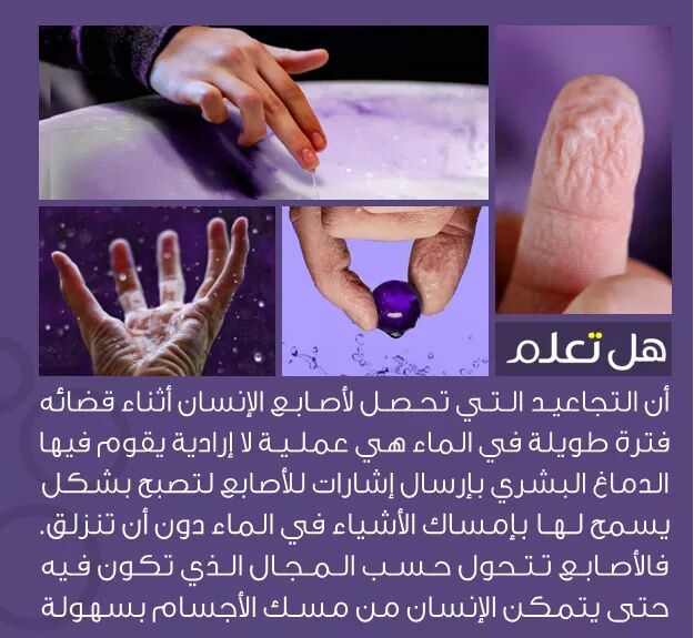 .... bntpal_1438775809_43