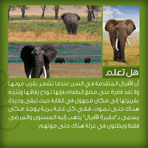 .... bntpal_1438775809_90