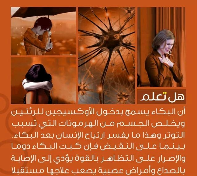 .... bntpal_1438775810_75