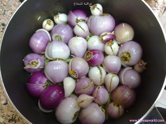  bntpal_1438786119_52
