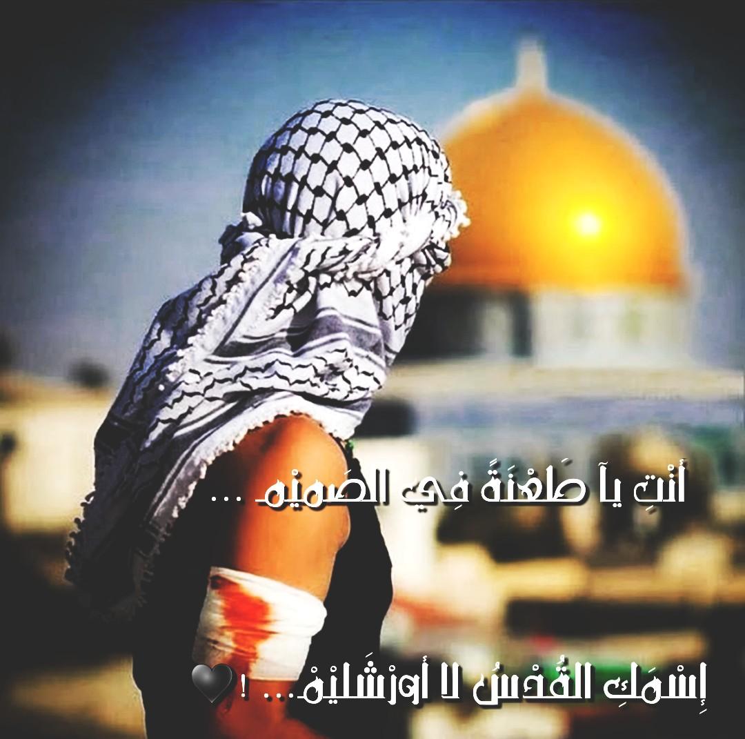 " " bntpal_1438948774_25