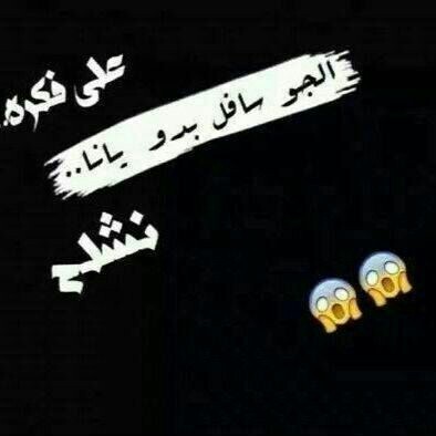 bntpal_1438978301_99