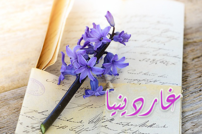 bntpal_1438981108_23