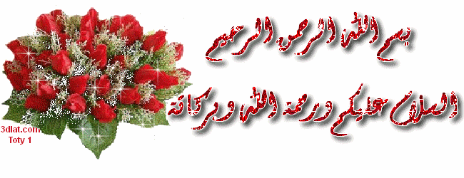 bntpal_1439031585_15