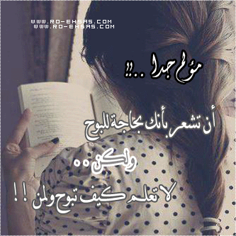 bntpal_1439193279_53