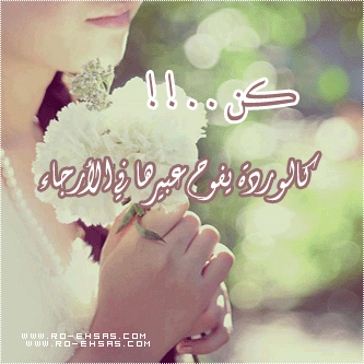 bntpal_1439193283_92
