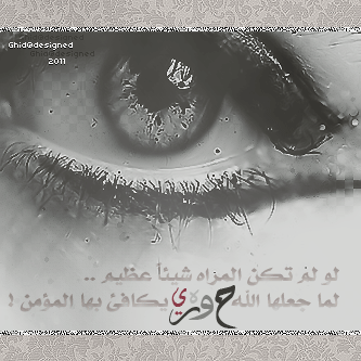 *" bntpal_1439356907_63