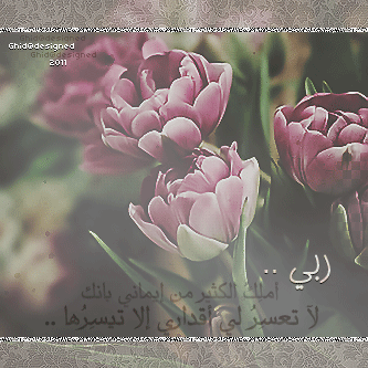 *" bntpal_1439356909_40