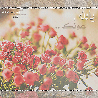 *" bntpal_1439356910_95