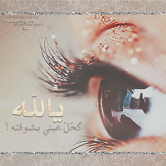 *" bntpal_1439356911_16