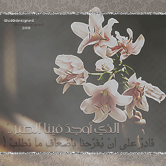 *" bntpal_1439356912_57