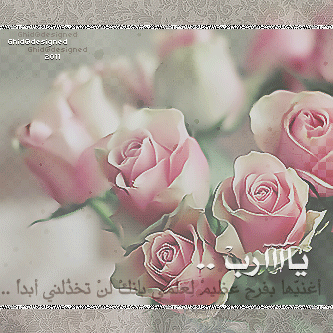 *" bntpal_1439356912_68