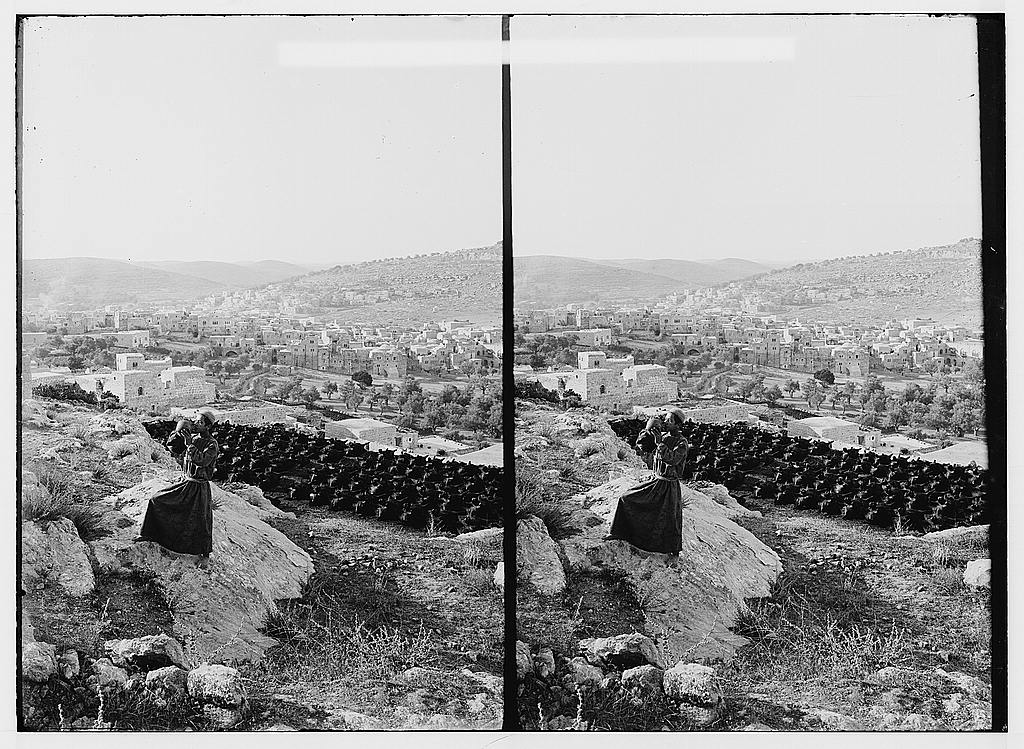    bntpal_1439479317_52