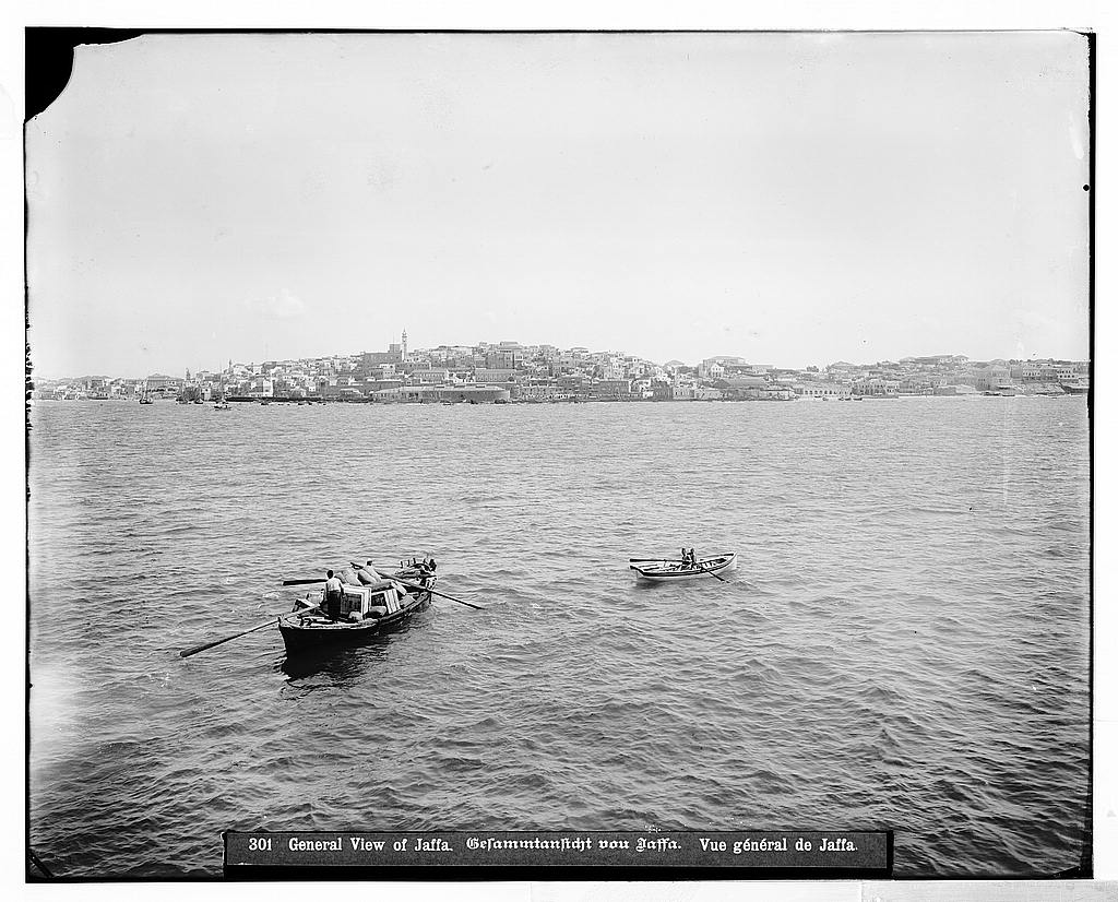    bntpal_1439479322_23