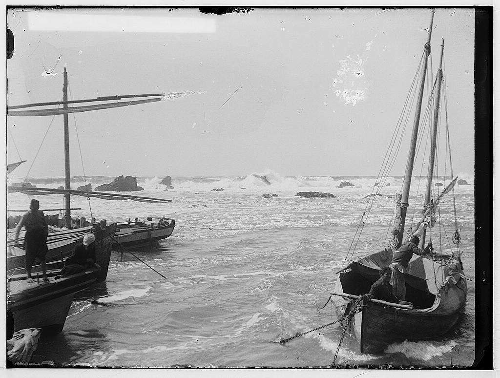    bntpal_1439479324_76
