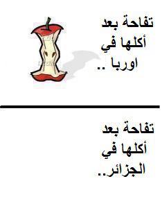 bntpal_1439488131_52