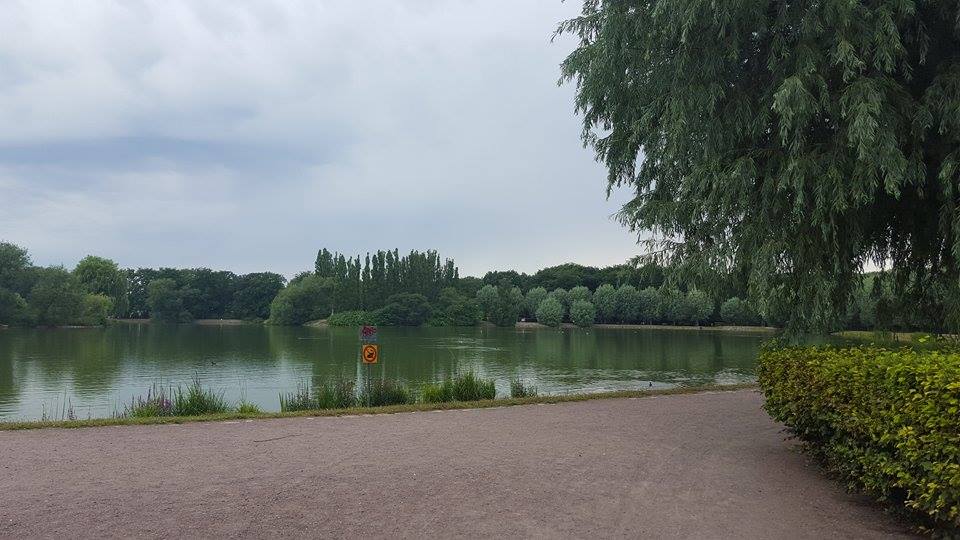 bntpal_1439501382_96