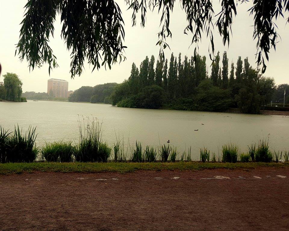 bntpal_1439501383_79
