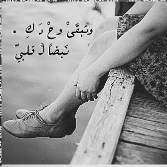 bntpal_1439582546_17