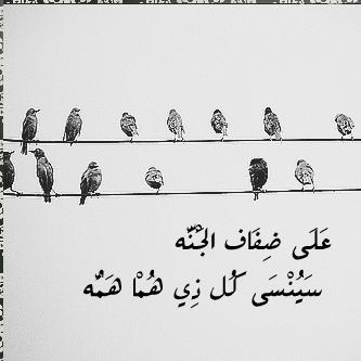 bntpal_1439582549_50