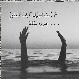 bntpal_1439582550_98