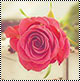  bntpal_1439583027_42
