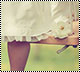  bntpal_1439583028_19