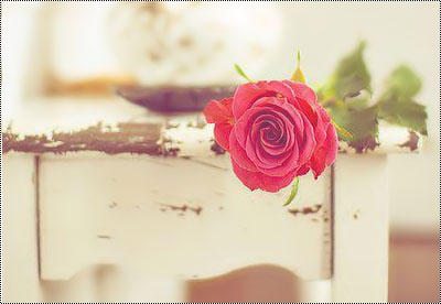  bntpal_1439583037_23