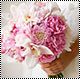  bntpal_1439583042_71