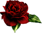 bntpal_1439585284_36