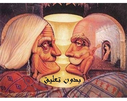 bntpal_1439586313_47