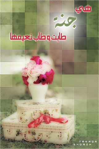 2015 2015 bntpal_1439642438_60
