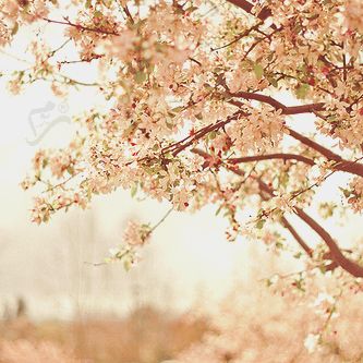 2015 2015  2015 bntpal_1439642817_25