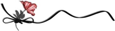 bntpal_1439646743_40