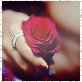 2015  2015 bntpal_1439756585_16